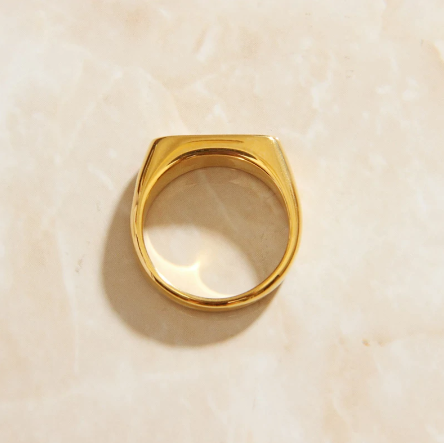 Top view of Gold Long Black Set Signet Ring bathed in warm sunlight.